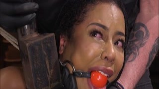 Tinytits ebony on hogtie toyed