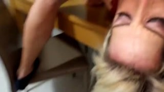 Well formed blonde hooker Lea Lexis adventures large cock of her stud strongly